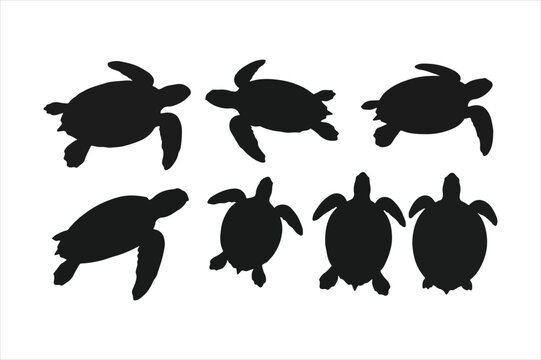 Set of six black sea turtle silhouettes in various poses, isolated.