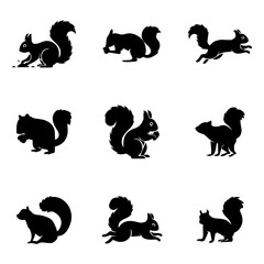 set of raccoon vector design, dog, set, vector, cat, bear, animals, icon, illustration, lion, pet, baby, collection, cute, tiger, zoo, elephant, fox, rabbit, funny, wild, character, fun, pig