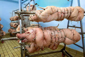Porchetta d iAriccia  is typical food of Rome area and is a succulent, boneless Italian pork roast.