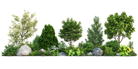 PNG file A variety of trees and plants arranged with rocks in a garden setting on transparent background PNG