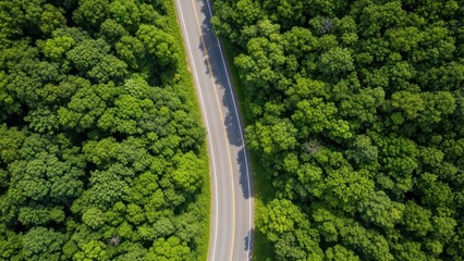 Aerial view of winding road cutting through lush green forest canopy