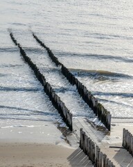 Fototapeta premium breakwaters wooden piles protect the coast