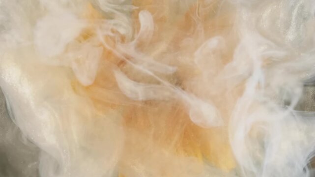Shiny floral steam. Sparkling splash. Defocused yellow color doronicum plant blend paint in water on abstract art acrylic background.