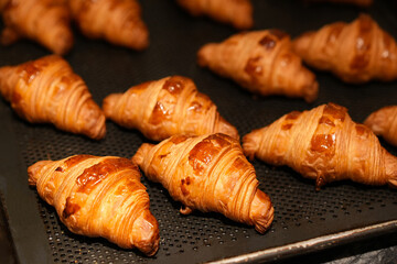 fresh croissant bread just come out from oven