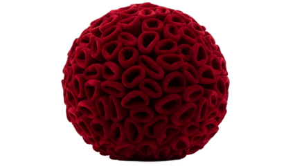 Red blood cells microscopic view medical research science biology cell on transparent background
