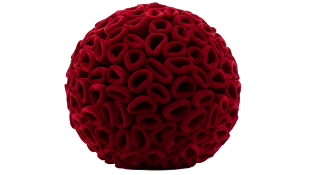 Red blood cells microscopic view medical research science biology cell on transparent background - Powered by Adobe