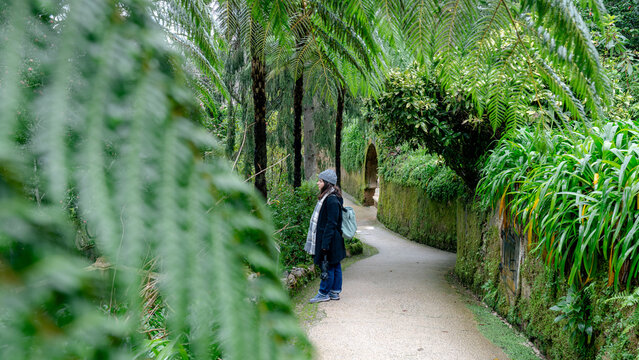 Woman exploring lush pathways at Quinta da Regaleira