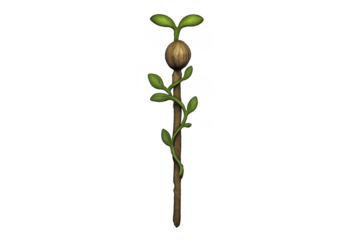 Wood magic wand with growing sprout and leaves