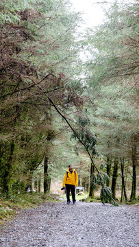 Hiker exploring four falls trail in brecon beacons park