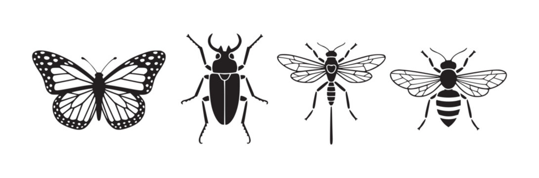 Illustration of four insects including a butterfly beetle wasp and bee in black and white style
