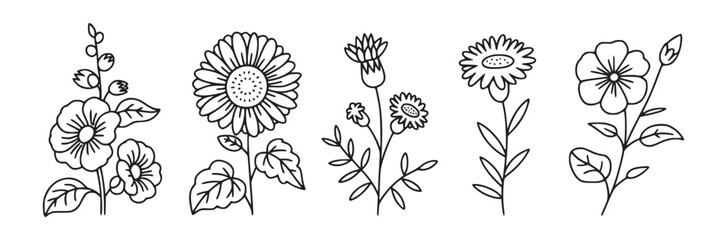 Five different types of flowers with leaves in a simple black and white outline drawing style art