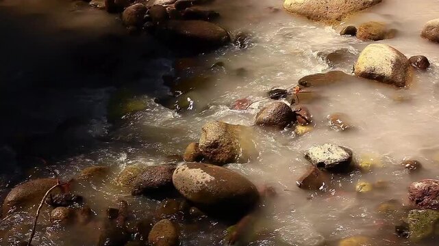 a video of an small of glacial creek of water in Mount Rainier National Park Washington