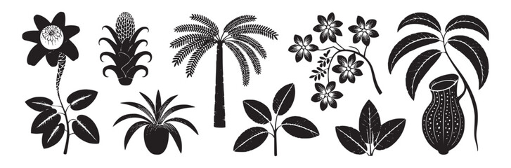 Collection of various tropical plants and flowers in black and white vector illustration style