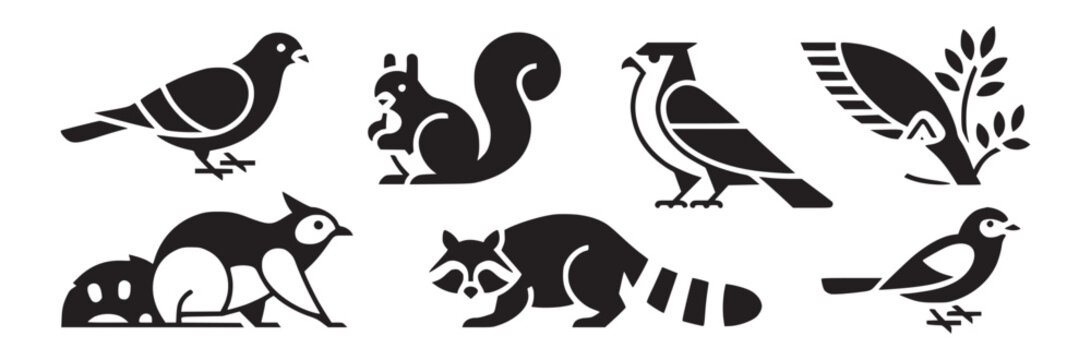 Graphic illustrations of various animals including birds squirrels and a raccoon in black and white