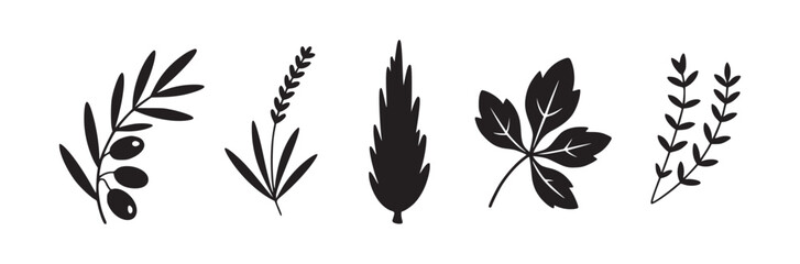Illustration of five different plant species including olive lavender cypress and other foliage types