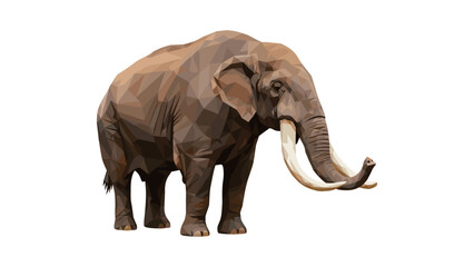 Obraz premium Geometric low poly elephant on white background