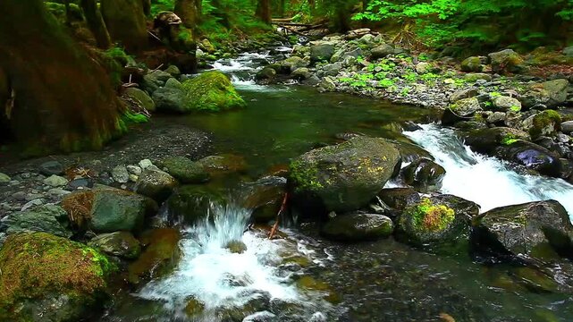 a picture of Slate creek in the Olympic National Park, Washington State