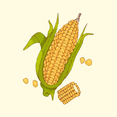 corn on the cob