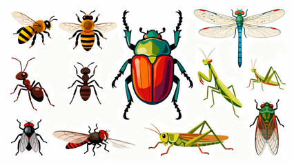 This vibrant illustration displays a diverse collection of colorful insects—including bees, ants, a beetle, dragonfly, mantises, grasshoppers, a fly, and a wasp