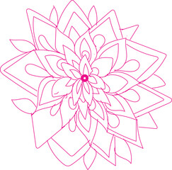  Outline drawing of a complex pink mandala flower design with many layered petals