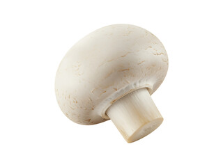 Organic brown champignon mushroom isolated on a white background, a fresh natural ingredient and healthy edible vegetable fungus