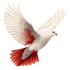 Obraz premium A white dove with red accents flying against a black background with wings spread wide open