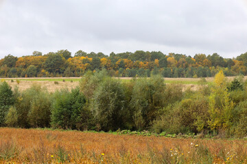 An autumnal landscape displays a multi-layered color palette: the foreground features a dried orange-brown field, followed by a strip of green and yellow shrubs.