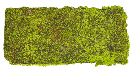 Realistic Red Clay Brick with Mossy Textures and Rough Surface on Transparent Background. Ideal for for Creative Design