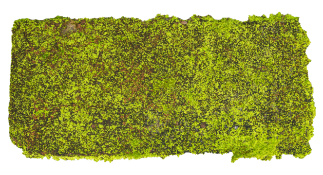 Realistic Red Clay Brick with Mossy Textures and Rough Surface on Transparent Background. Ideal for for Creative Design