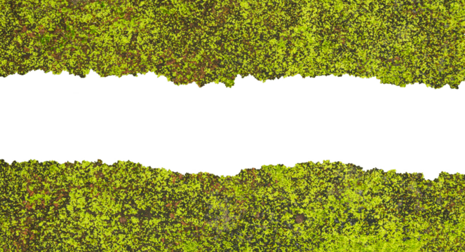 Realistic Red Clay Brick with Mossy Textures and Rough Surface on Transparent Background. Ideal for for Creative Design