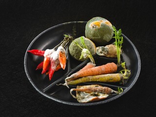 A plate holds a variety of vegetables, including moldy carrots and peppers, highlighting the serious issue of food waste and its impact on the environment and society