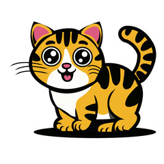 A beautiful cat is looking for friends