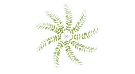 Green leaf radial pattern for natural backgrounds and decoration