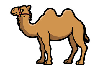 A two-humped camel stands facing left against a white background.