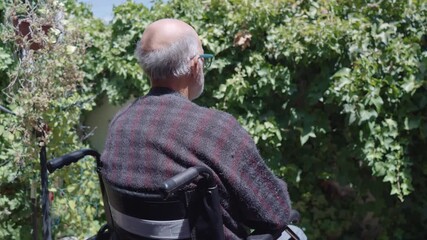 An elderly person sits in a wheelchair, gazing peacefully at a vibrant garden in a moment of quiet contemplation and introspection. This image evokes feelings of serenity, reflection.