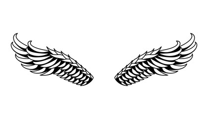Wings sketch. Stylized birds wings. Hand drawn contoured stiker wing in open position. Vector design elements in coloring style