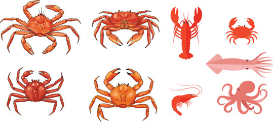 Seafood and Marine Life Vector Illustration Set Featuring Different Crab Species, Lobster, Shrimp, Squid, and Octopus, Ideal for Restaurant Menus or Ocean Themes