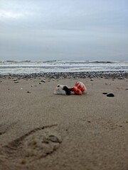 M&uuml;ll am Nordseestrand