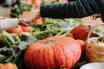 Handshake over fresh produce at a local market stand