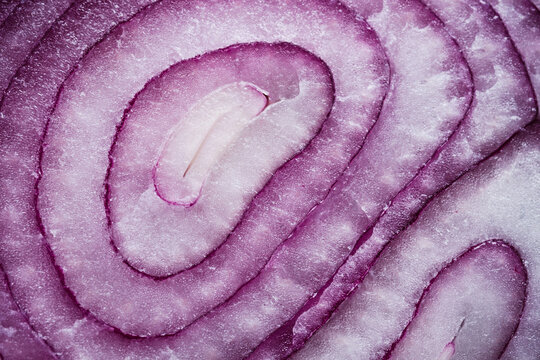 Macro view of purple onion rings texture