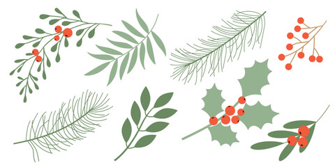Winter botanical vector illustration with green branches and berries. Design for greeting cards, packaging, fabric, and scrapbooking.