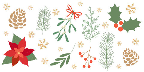 Winter botanical vector illustration with green branches and berries, pine cones, mistletoe, and poinsettia. Design for greeting cards, packaging, fabric, and scrapbooking.