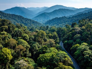 Aerial view of a winding road curving through lush green tropical forest with misty atmosphere. Scenic mountain highway surrounded by dense jungle and natural landscape. 