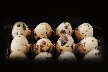Dozen fresh quail eggs in carton tray on dark background, close-up, healthy food, protein, farm, cooking, ingredients.