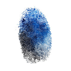 Artistic representation of a vibrant fingerprint showcasing intricate patterns and lively colors, symbolizing identity and uniqueness on transparent background