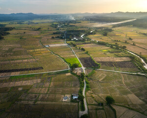 Aerial view of golden rice paddies crisscrossed by roads and waterways under a soft morning light, Tambon Wichet Nakhon, Chang Wat Lampang, Thailand.