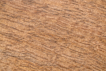 Wooden surface, top view, macro.