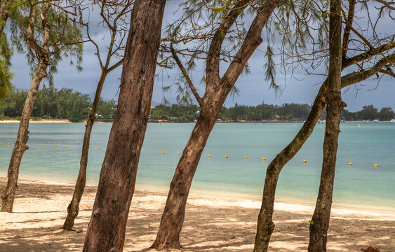Exposure of the beautiful Mon Choisy Beach, located ion the northwest of the Mauritius Island, a long stretch of soft white sand curves around a turquoise bay fringed by casuarina trees