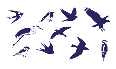 Obraz premium Collection of various bird silhouettes and drawings isolated on