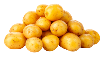 Pile of Fresh Yellow Potatoes on White Background root vegetable
